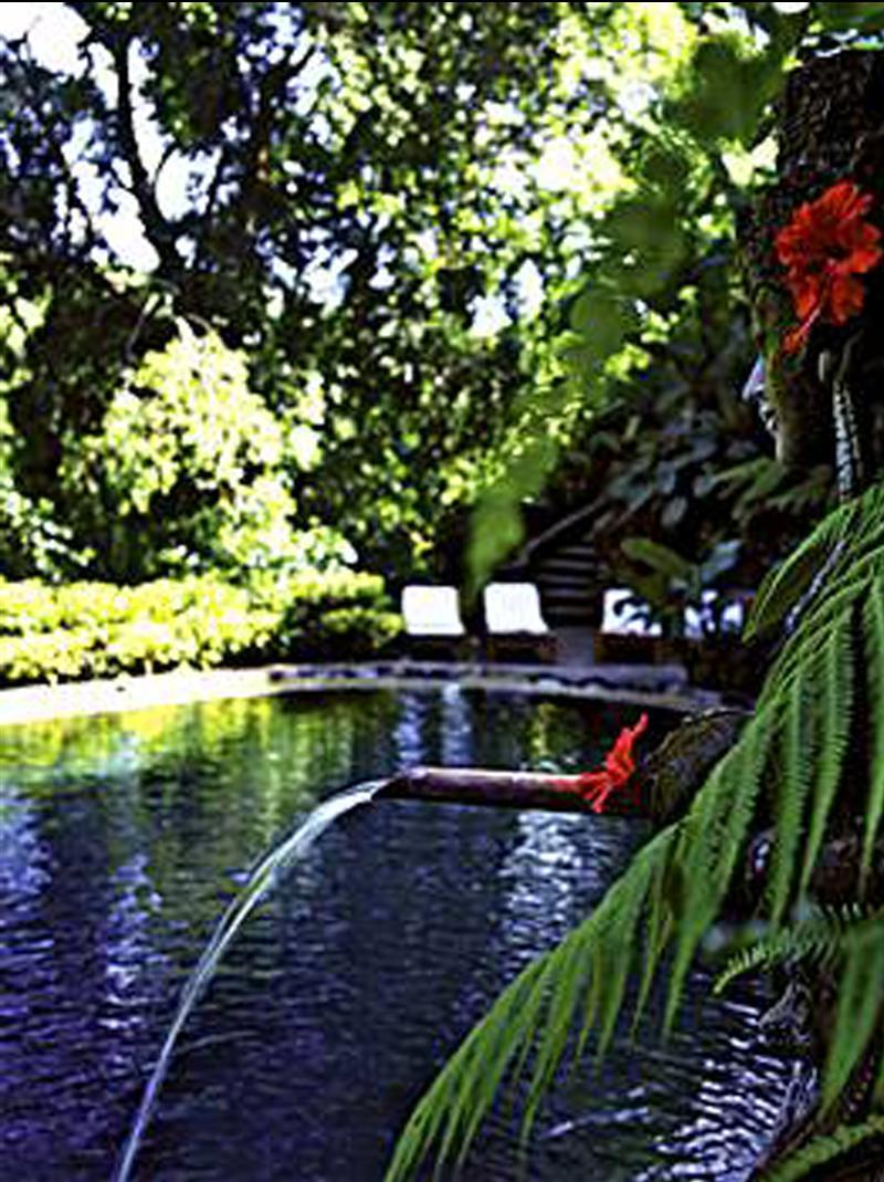 Hotel Tjampuhan Spa Ubud Extérieur photo