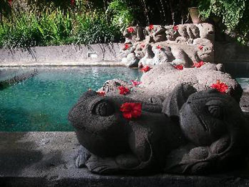 Hotel Tjampuhan Spa Ubud Extérieur photo